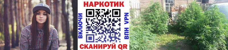 Купить закладку Марихуана  А ПВП  ГАШИШ  АМФЕТАМИН  Меф мяу мяу  Сурск