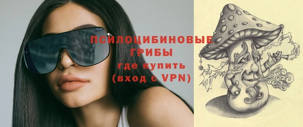сатива Алексеевка