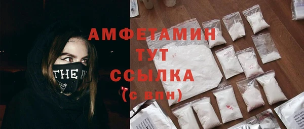 сатива Алексеевка