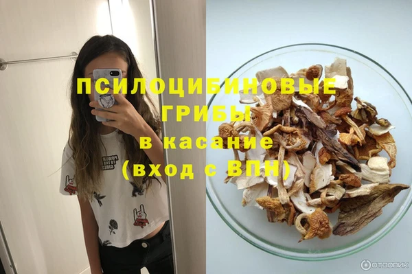 ALPHA PVP Алексин